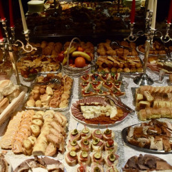 vsj batocina 2024 16