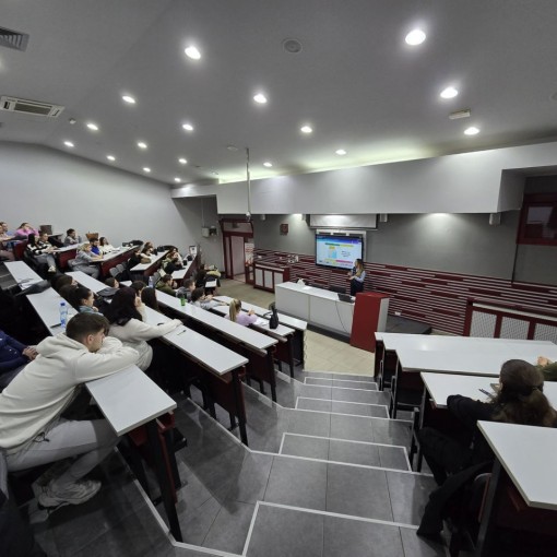 stella for staff 2025 002