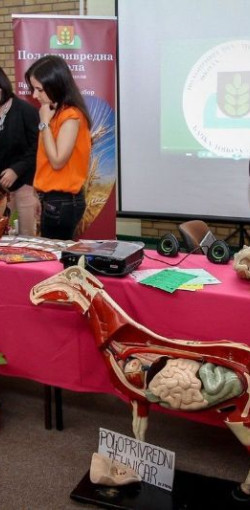 SUBOTICAcom 20Apr2016 TehnickaskolaIvanSaric 1097966