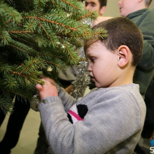 SUBOTICAcom 21Dec2016 Pravnifakultet 1145208