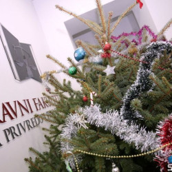 SUBOTICAcom 21Dec2016 Pravnifakultet 1145243